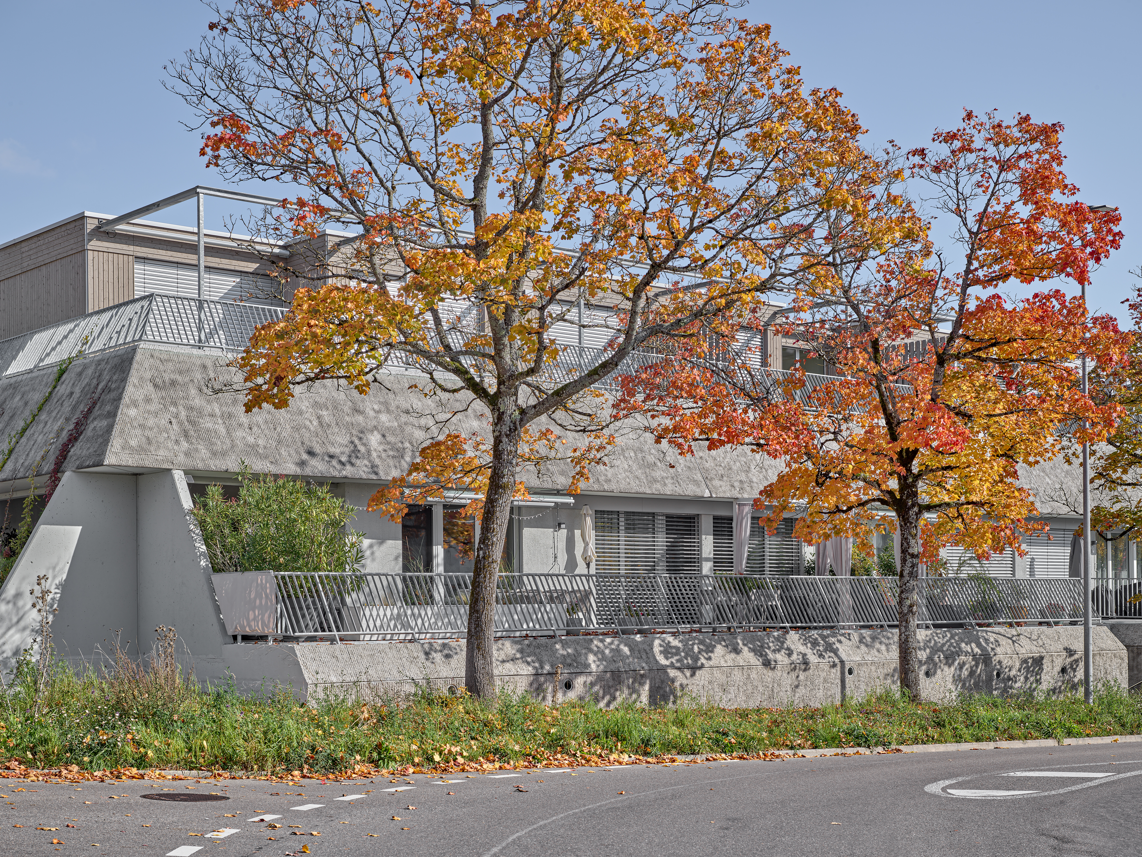 ClientPhoto object (8839)