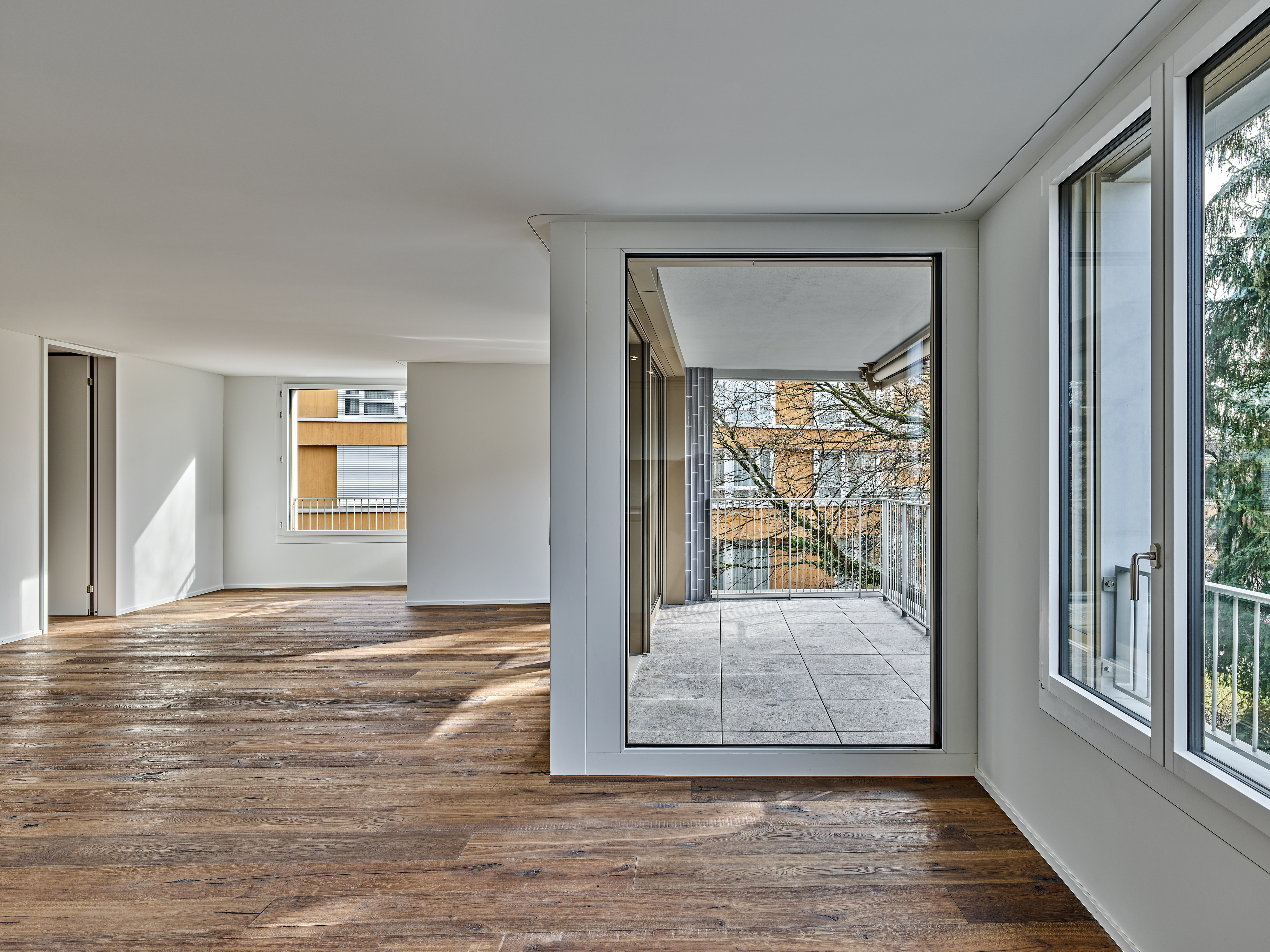 ClientPhoto object (8668)