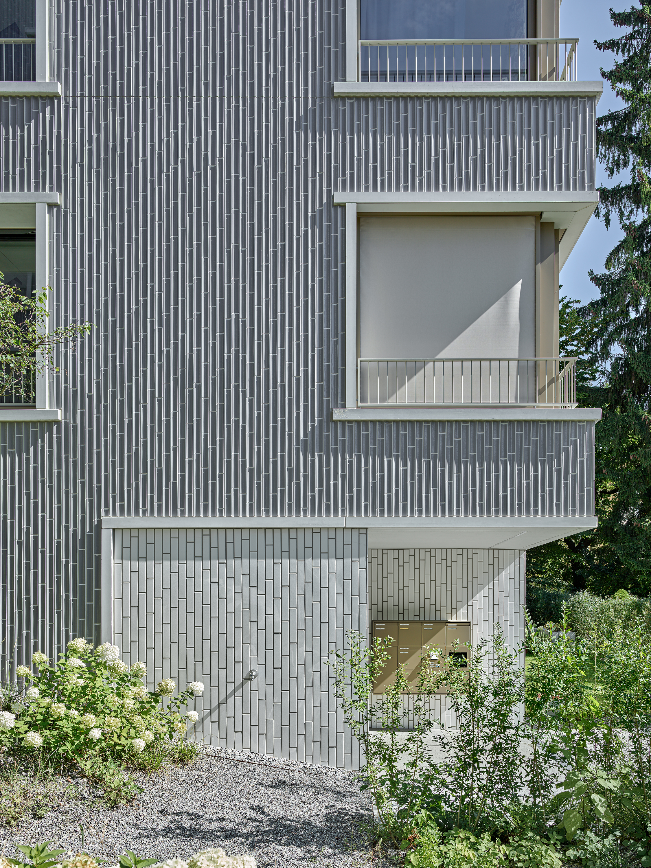 ClientPhoto object (8664)