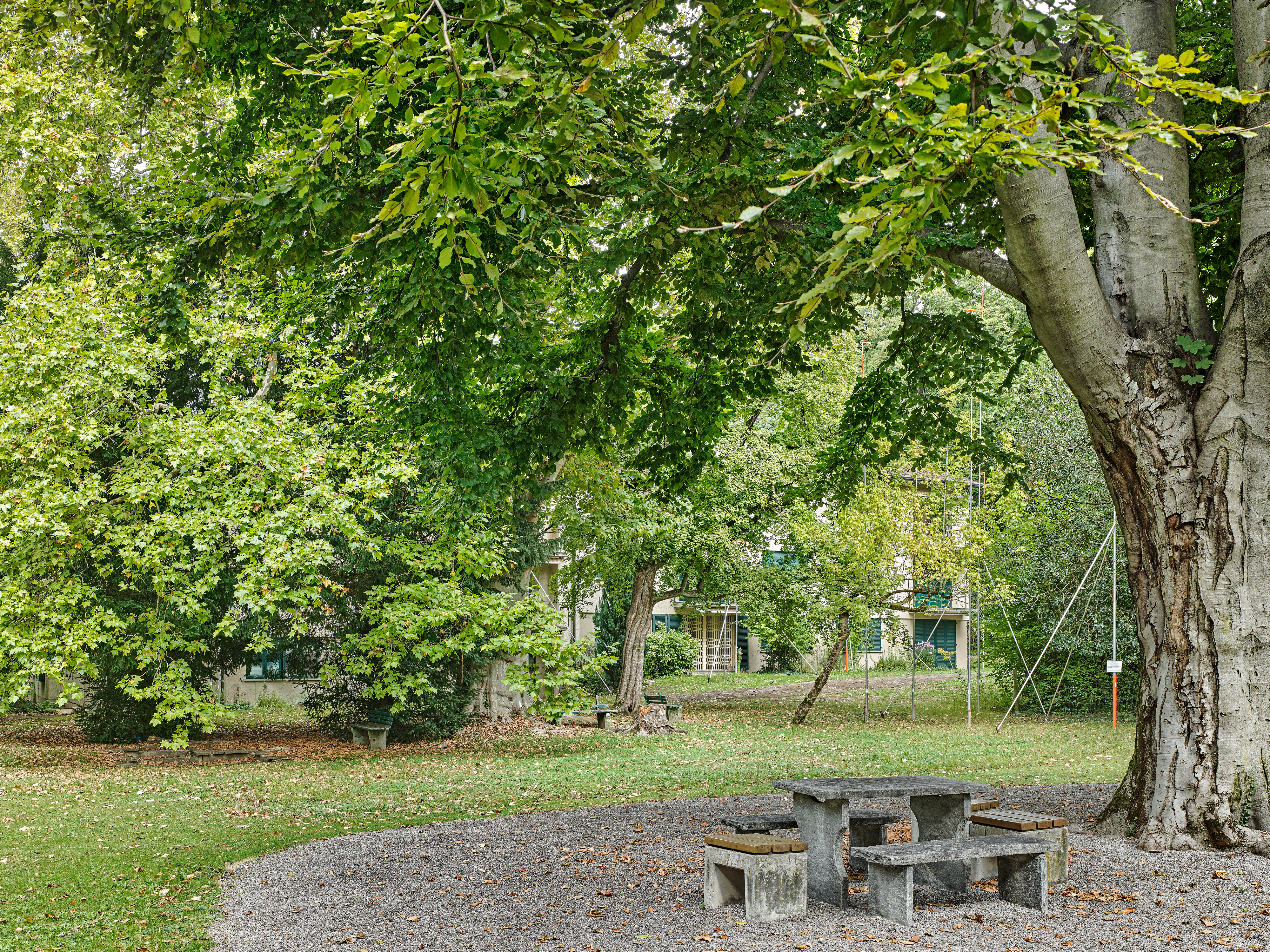 ClientPhoto object (9418)