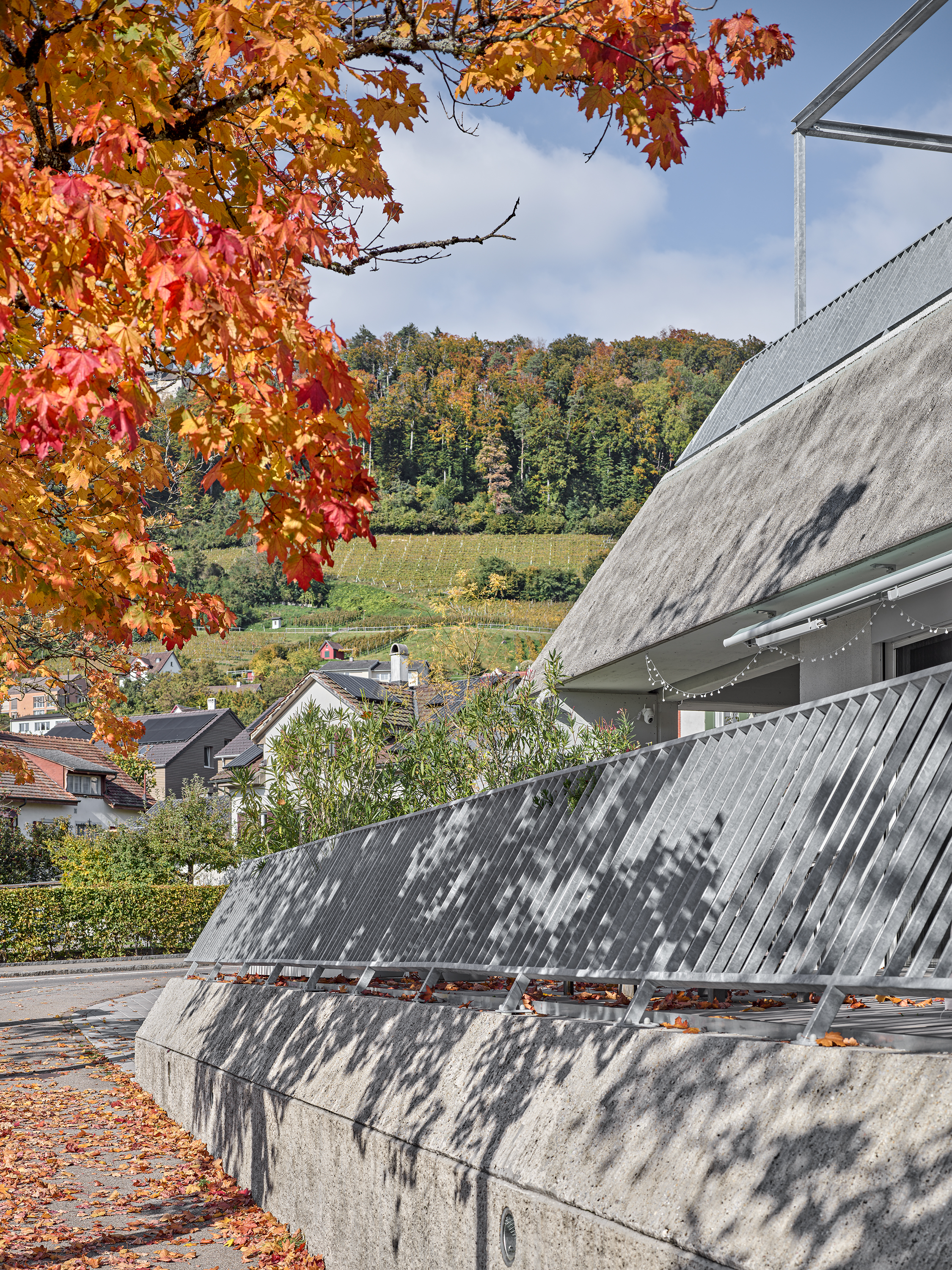 ClientPhoto object (8838)