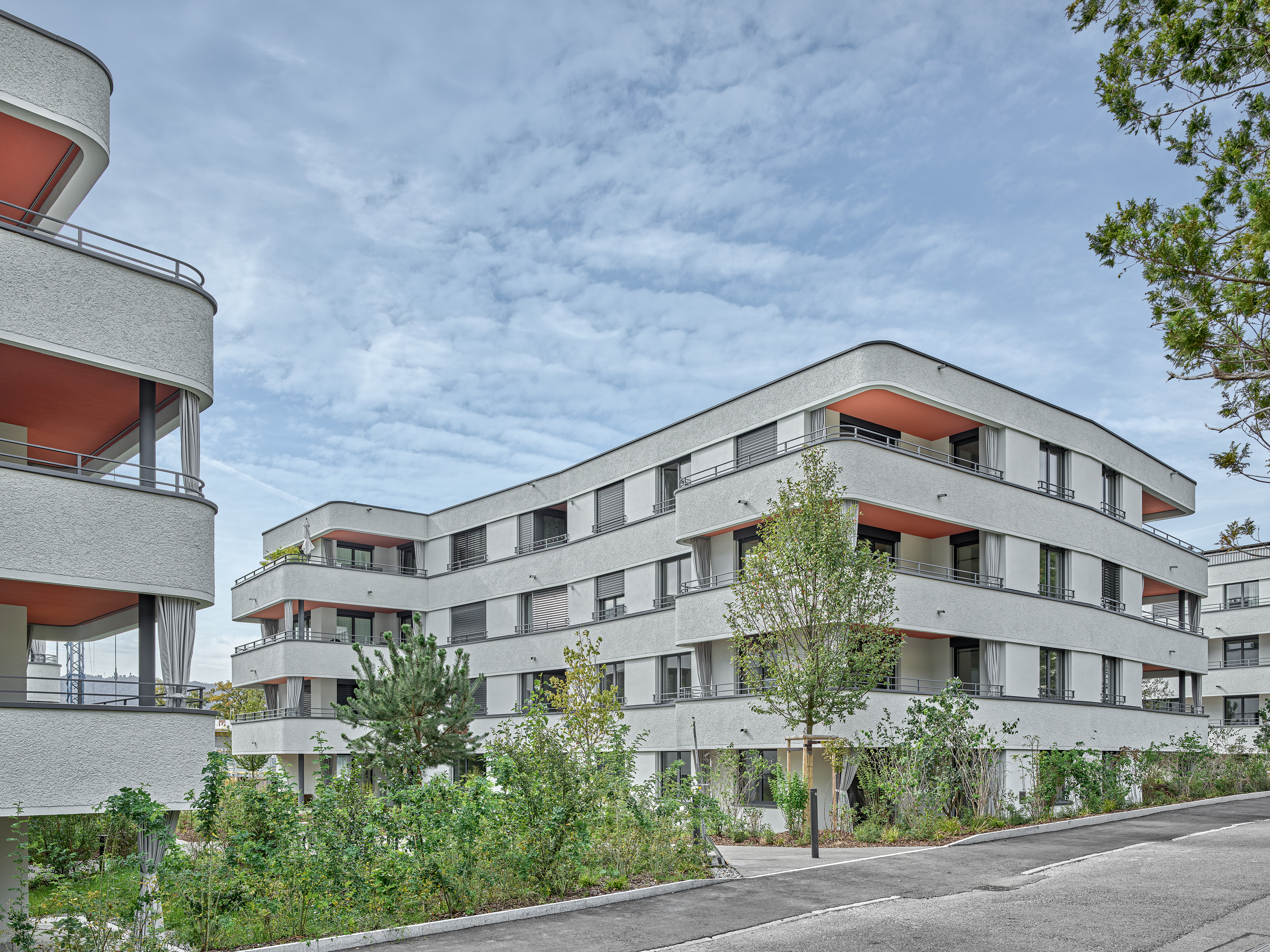 ClientPhoto object (8913)