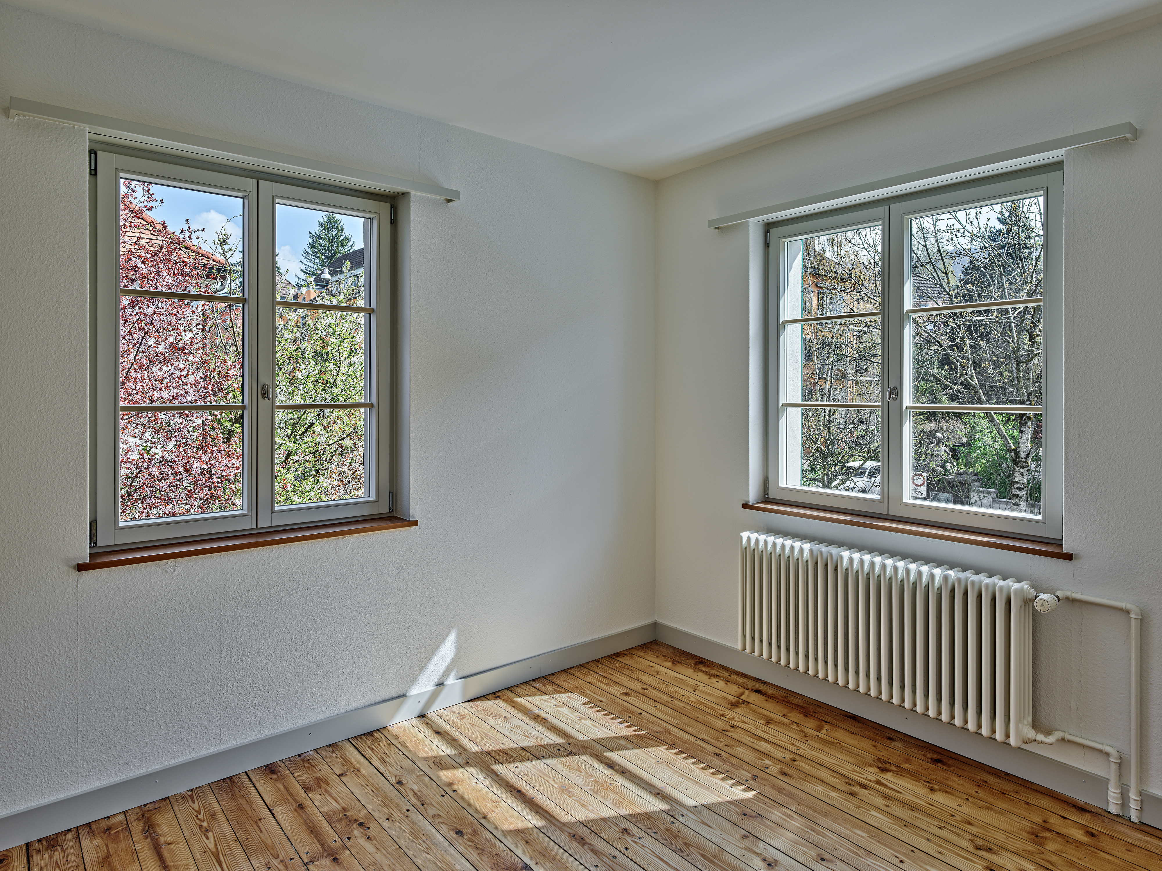 ClientPhoto object (10339)
