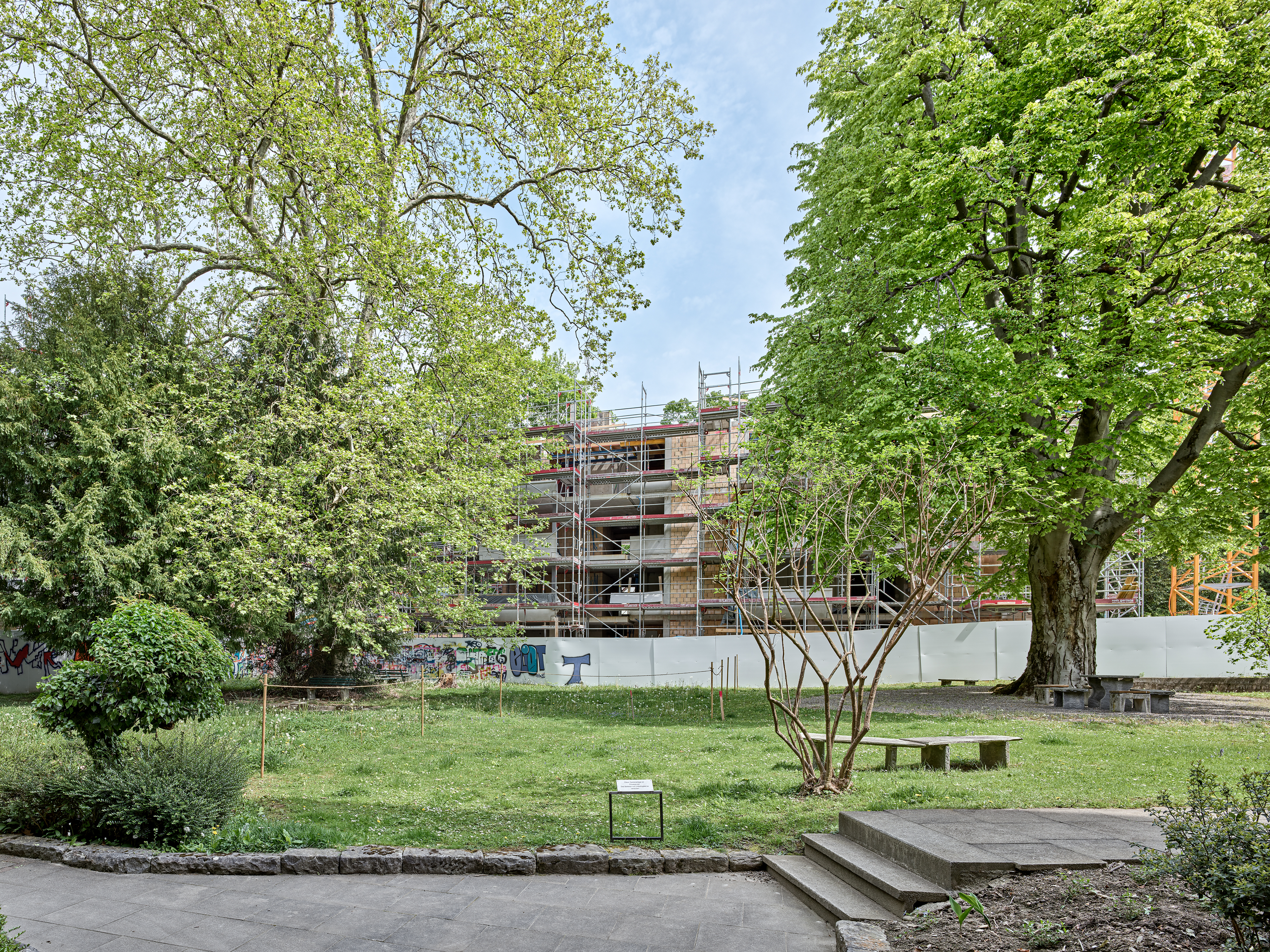 ClientPhoto object (9425)