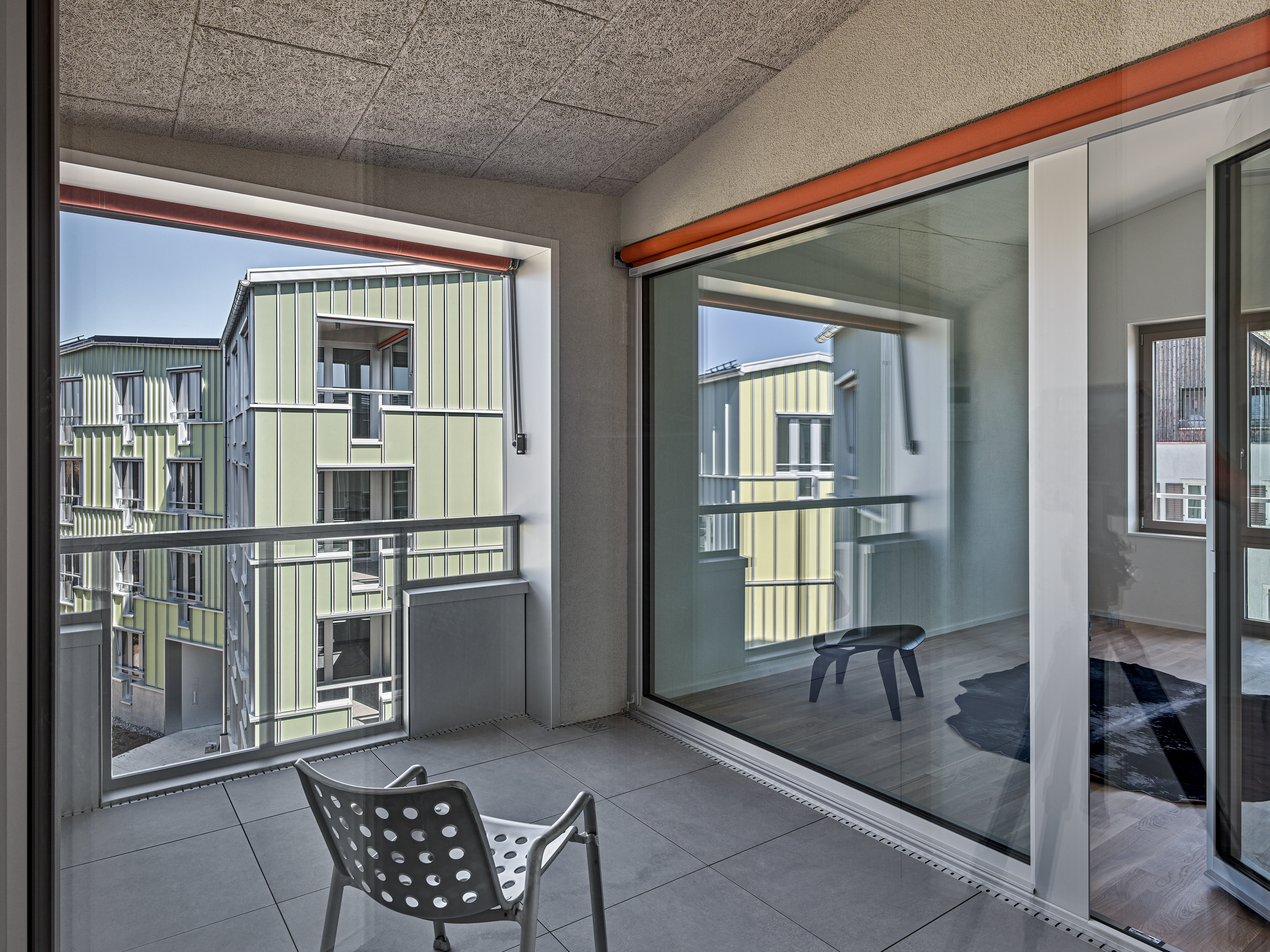 ClientPhoto object (10536)