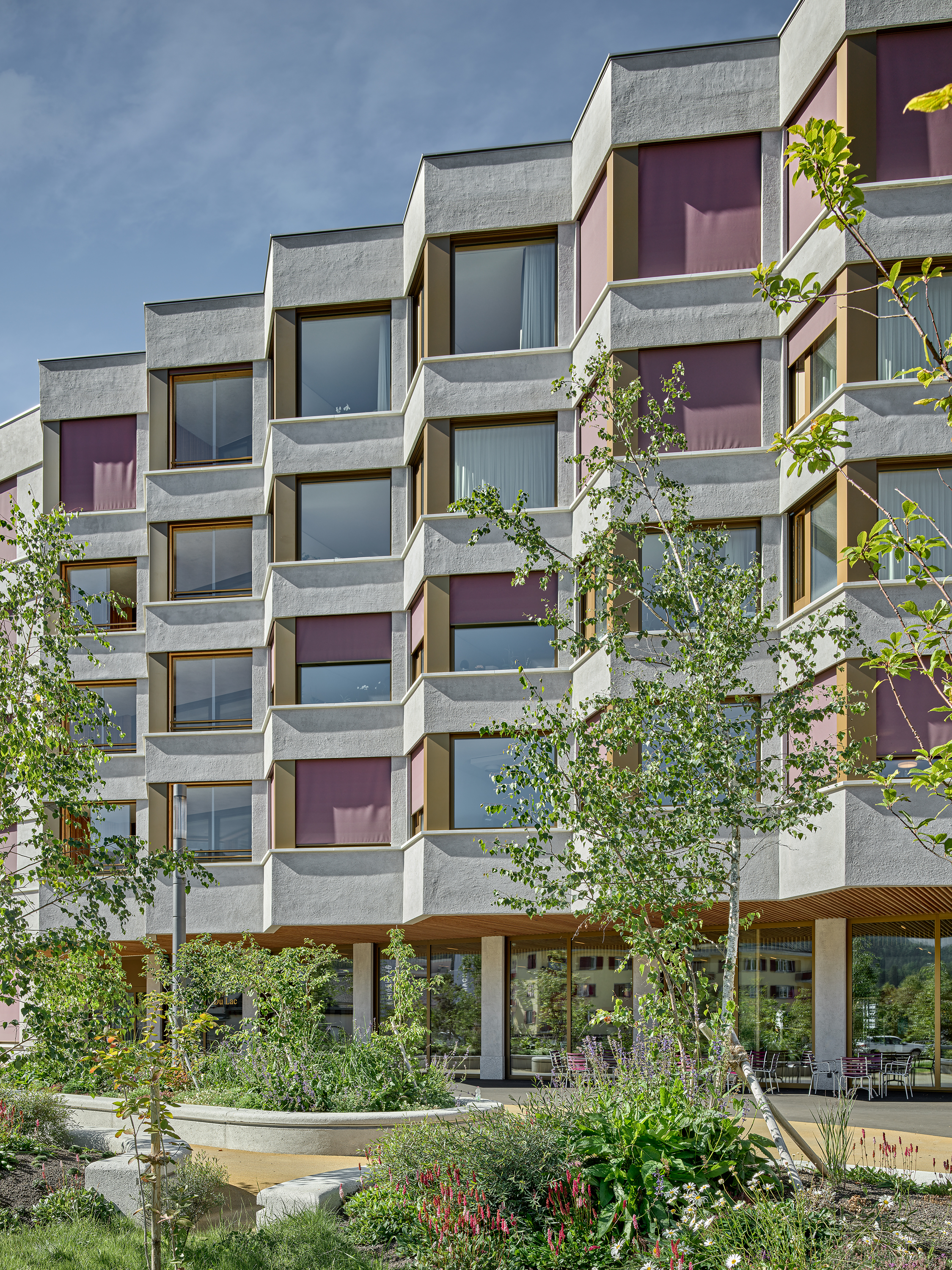 ClientPhoto object (8693)