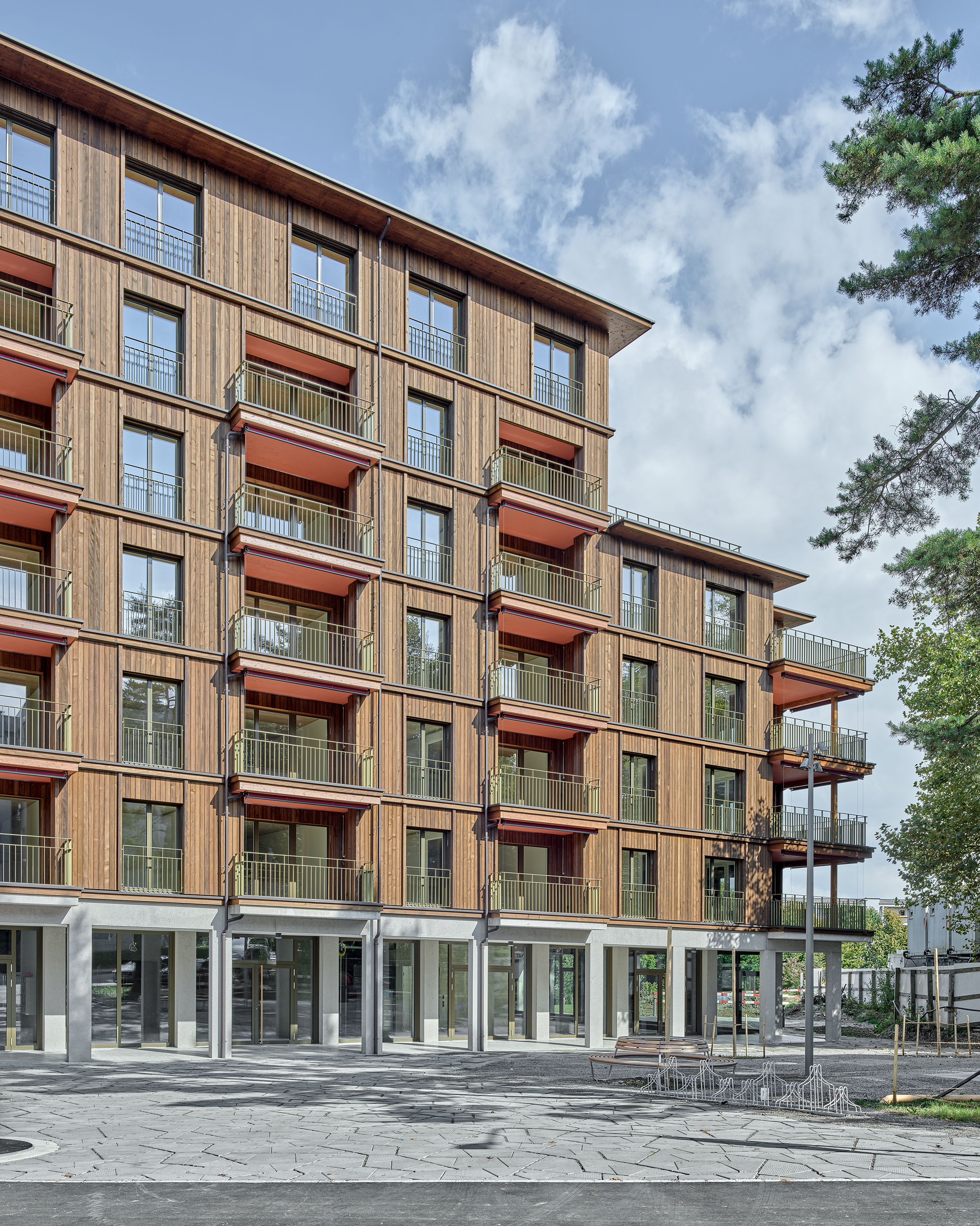 ClientPhoto object (8719)