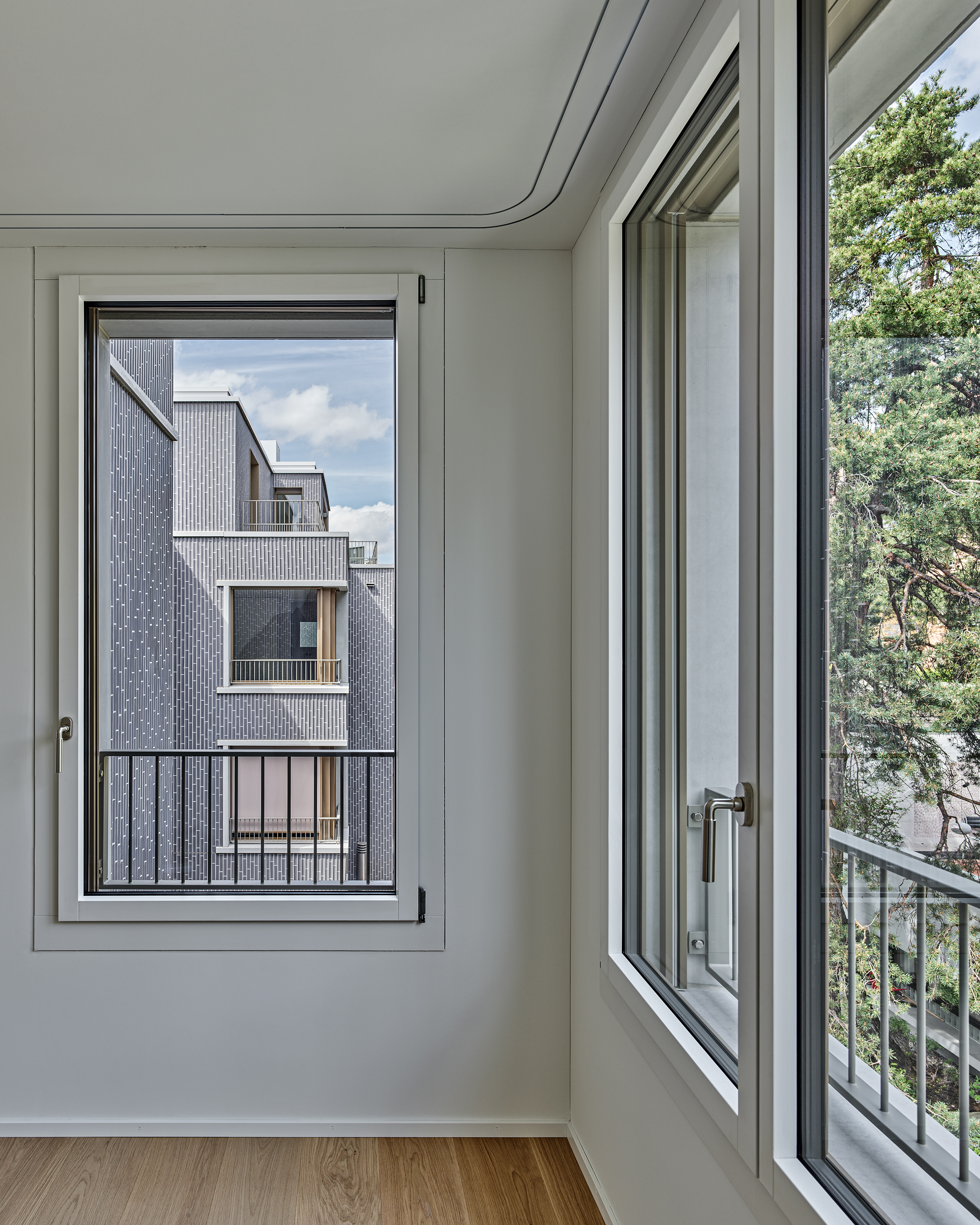 ClientPhoto object (8667)