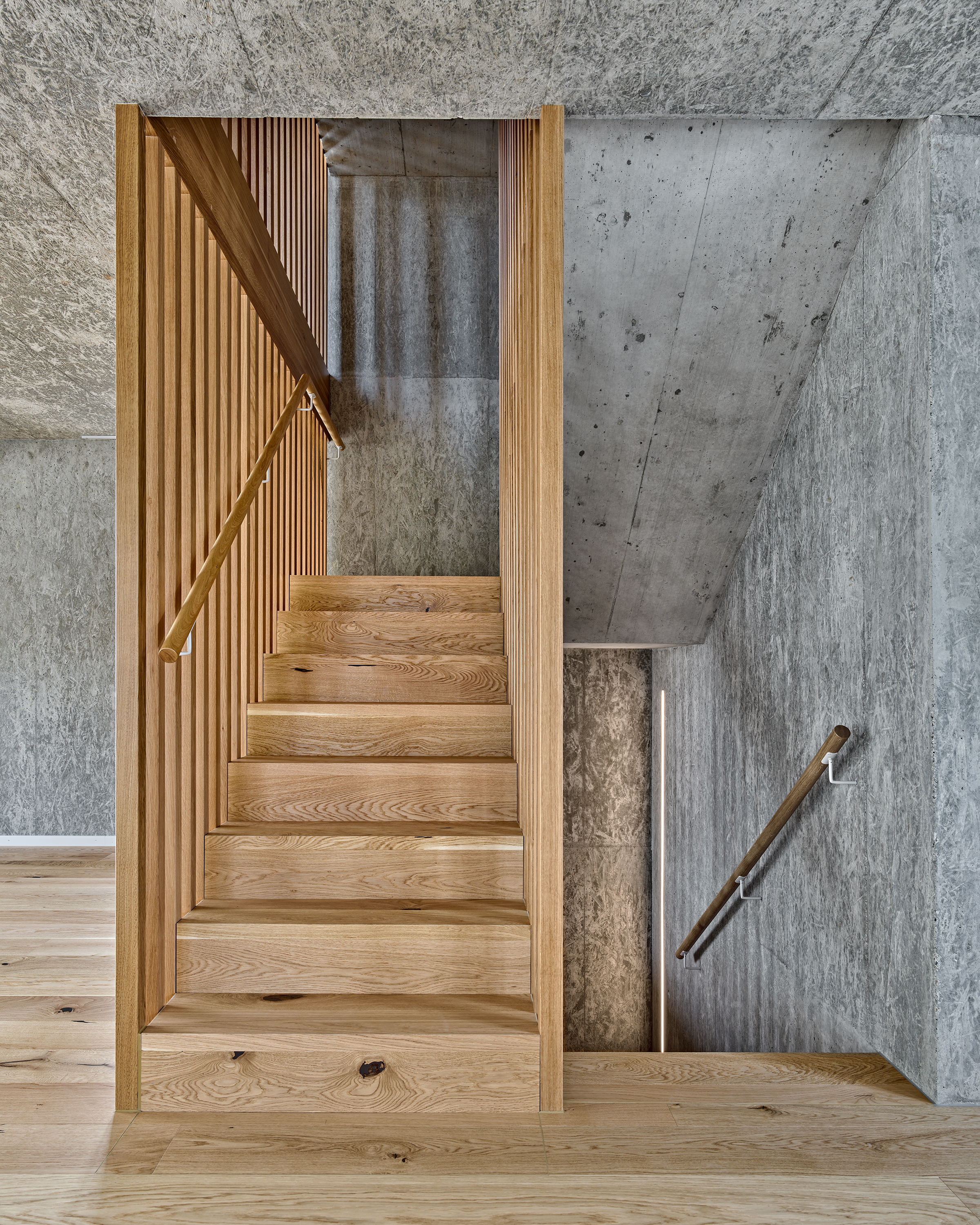 ClientPhoto object (8906)